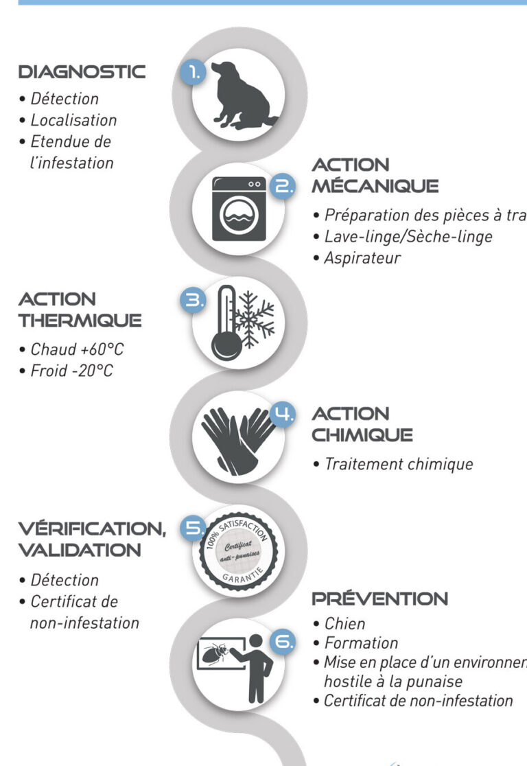 actualisation du reservoir de lutte contre les punaises de lit une solution efficace contre les nuisibles