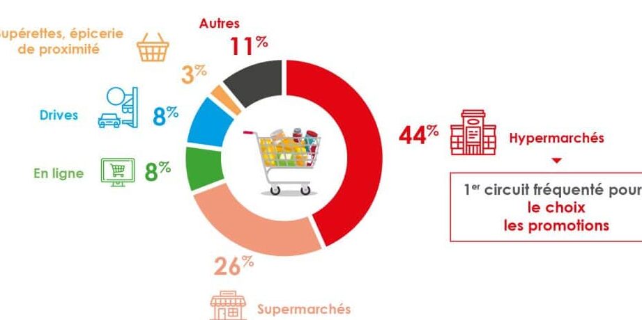 alimentation des rattromes ce quils mangent vraiment