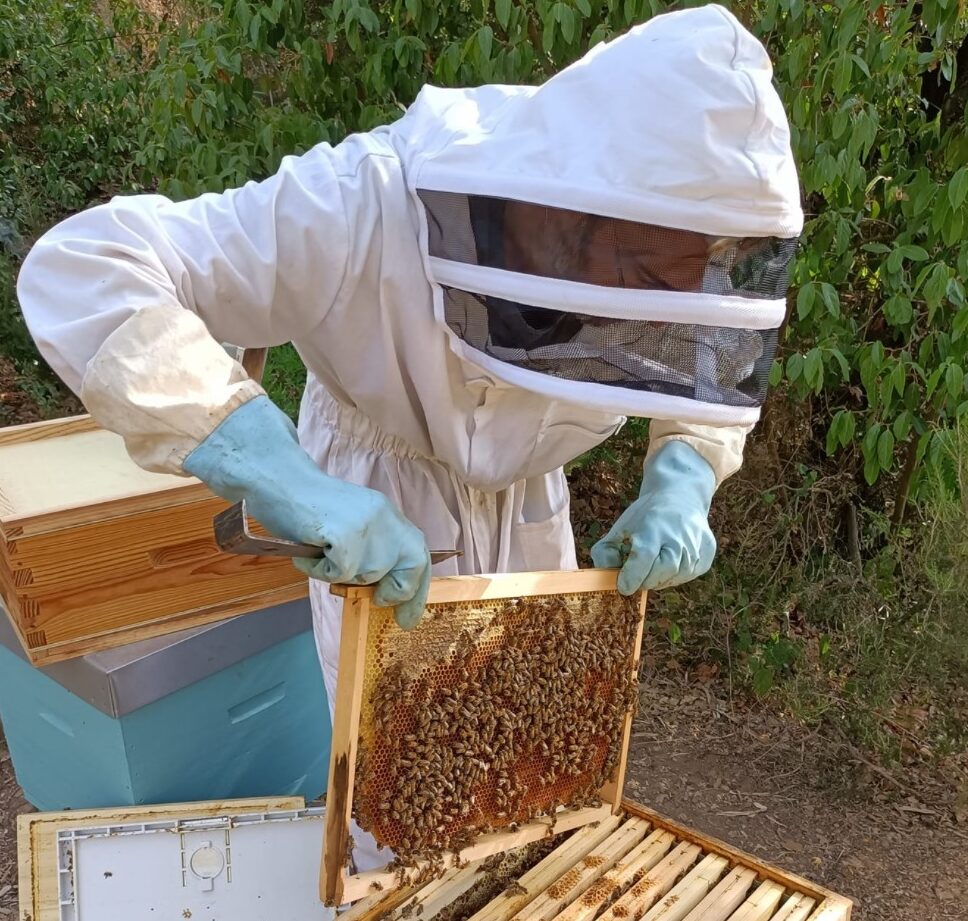 apiculteur le nom donne a lexpert des abeilles et du miel