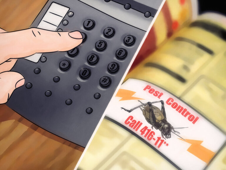 appat de cricket taupe une solution efficace contre les nuisibles