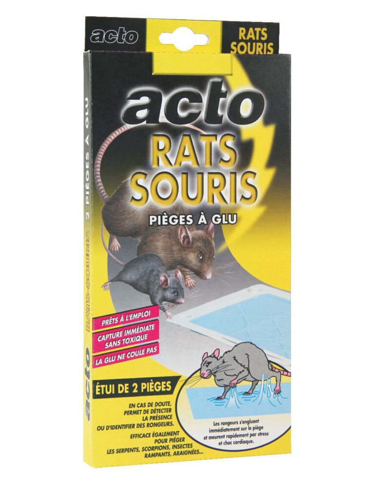 bacs de stockage anti souris la solution pour preserver vos biens