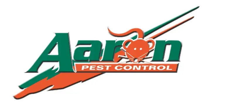 bay area pest expert pest control services in the san francisco bay area