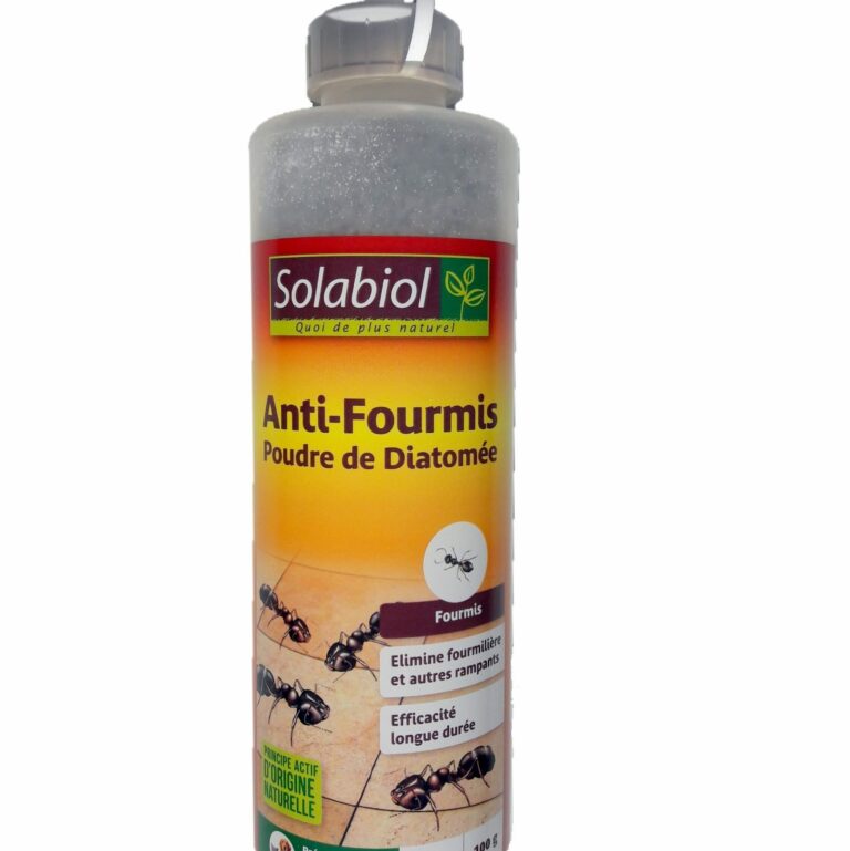 bombe anti fourmi une solution efficace pour eliminer les nuisibles