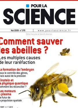 bumble bee cree solutions efficaces pour se debarrasser des nuisibles