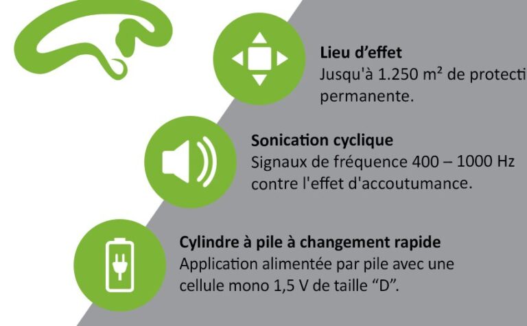 capteur de taupe la solution ultime contre les nuisibles souterrains