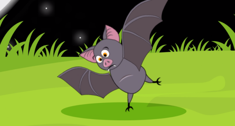chauves souris les raisons de leur position suspendue a lenvers