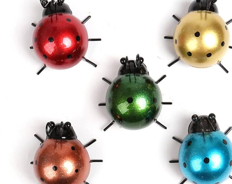 coccinelles colorees decouvrez les differentes teintes de ces adorables insectes
