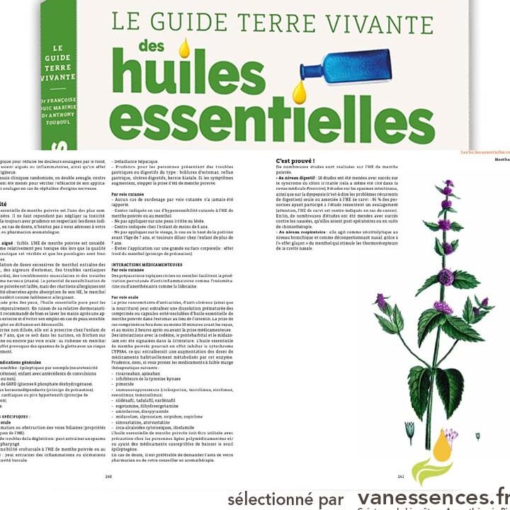combattre les puces sur lhomme avec lhuile essentielle guide pratique