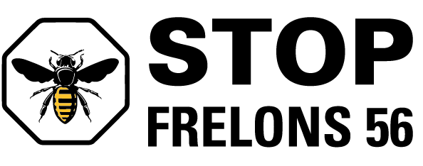 comment eliminer efficacement un nid de guepes guide pratique