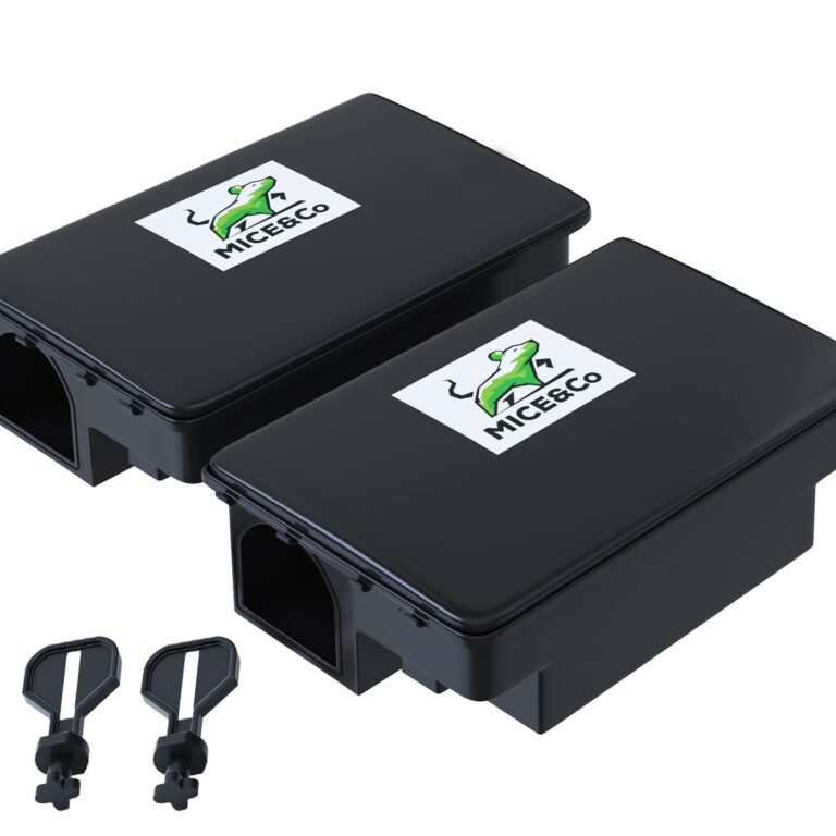 comment eliminer un nid de souris efficacement guide pratique