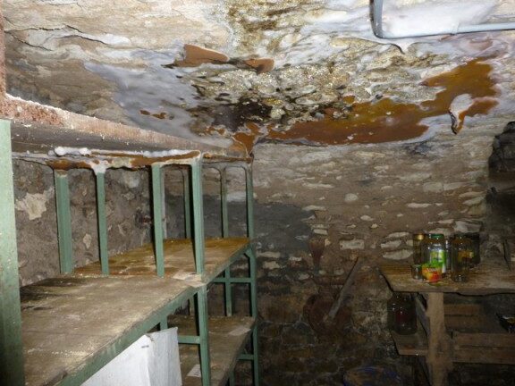 comment lutter efficacement contre les champignons destructeurs de bois dans le vide sanitaire