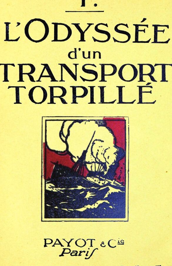comment reparer les trous de tortue dans votre cour guide complet