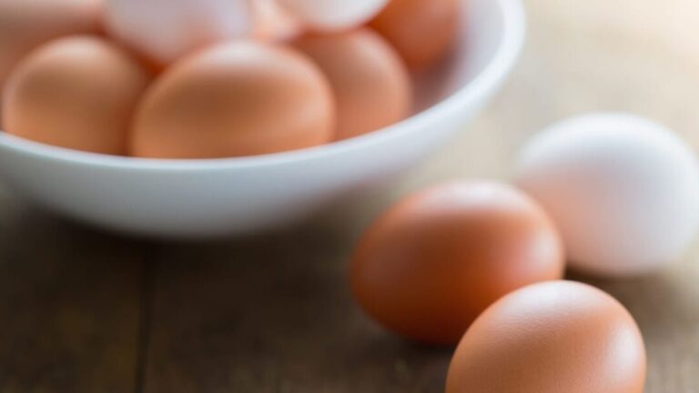 comment se debarrasser des sacs a oeufs sauter guide antiparasitaire