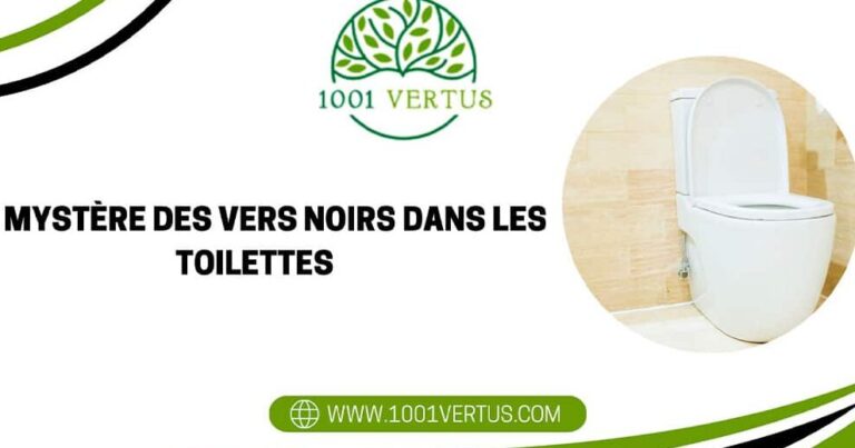 comment se debarrasser du ver noir dans la salle de bain guide pratique