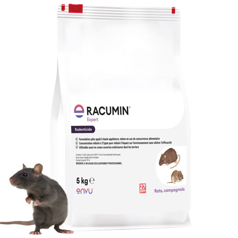comment se debarrasser efficacement des bruits de rats conseils anti nuisibles