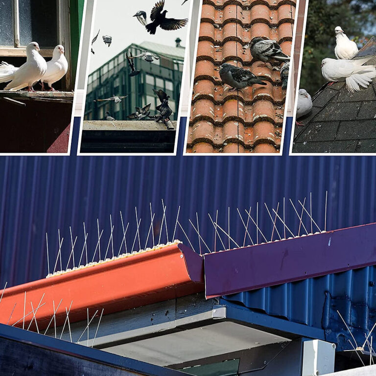 comment se debarrasser efficacement dun nid de pigeons