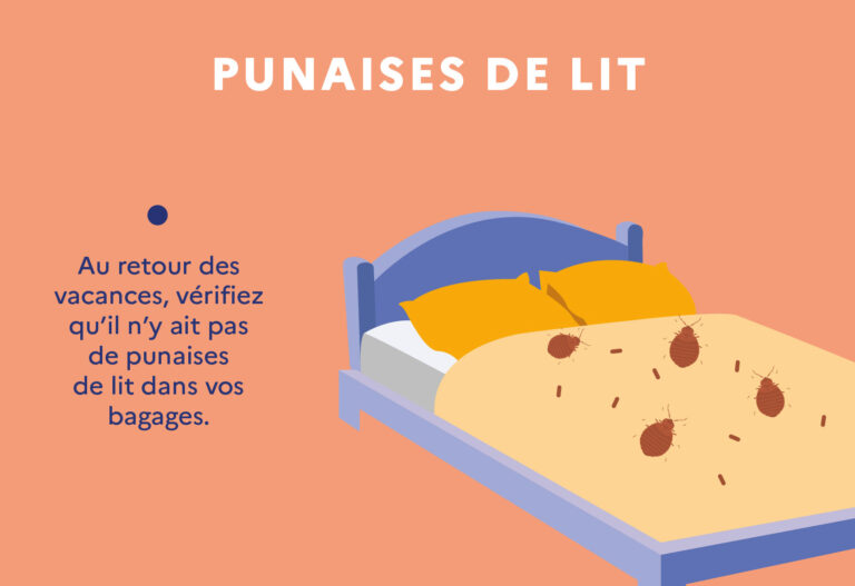 comment se proteger des punaises de lit astuces anti morsures