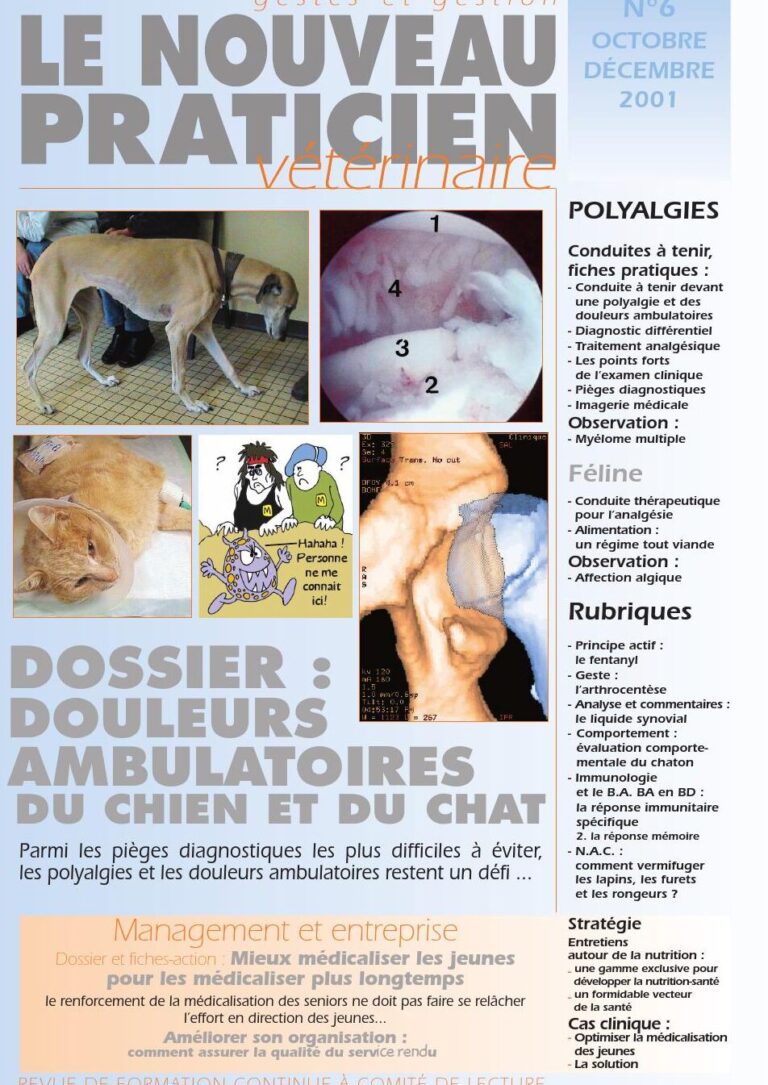 comment traiter efficacement une morsure de souris conseils antiparasitaires