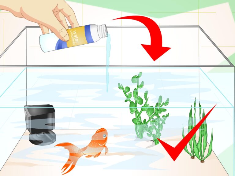 comment traiter les morsures de poisson argente guide de lutte antiparasitaire