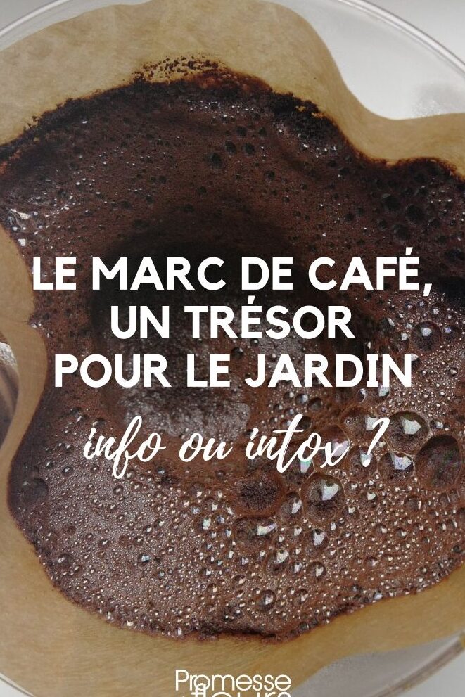 comparaison des paillis de cypres et de cedre pour une lutte efficace contre les nuisibles