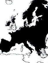 comprendre le comportement des ecureuils pourquoi ils battent la queue