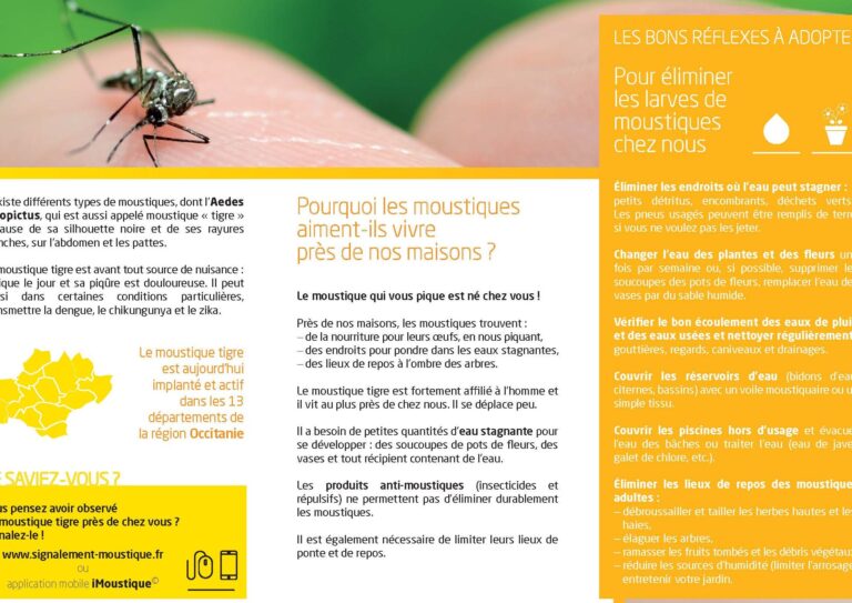 comprendre les piqures de moustiques causes et solutions efficaces