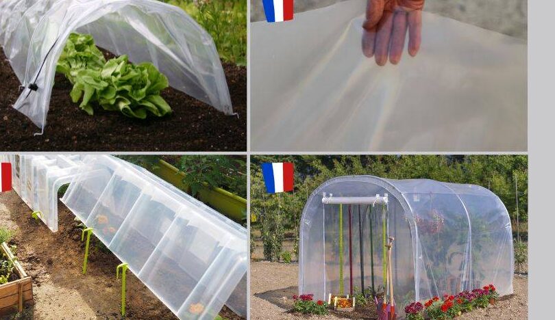 conseils pour un jardin de manger sans nuisibles
