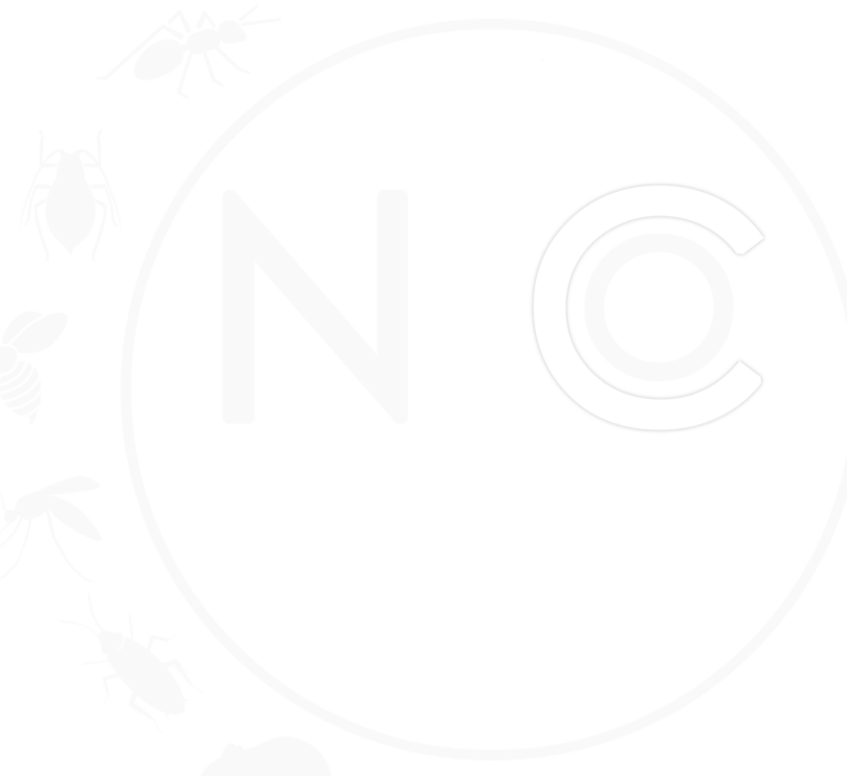controle des nuisibles dans la vallee de spokane solutions efficaces
