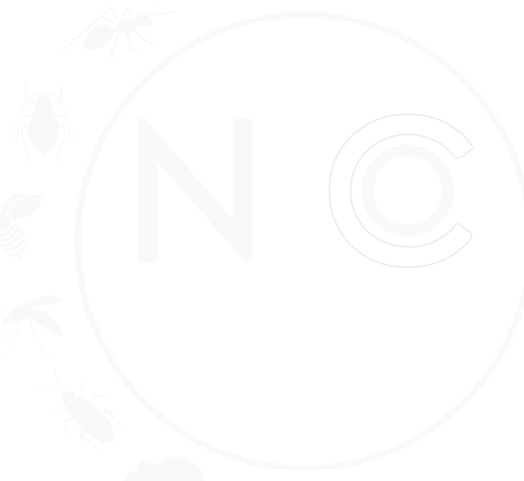 controle des nuisibles dans la vallee de spokane solutions efficaces