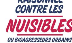 controle-des-nuisibles-fells-control-votre-solution-efficace