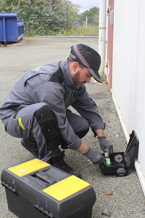 controle des ravageurs en salle astuces et conseils