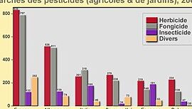 controle efficace de la fourmine de docteur conseils dexpert en lutte antiparasitaire