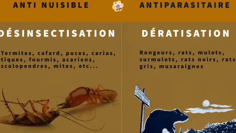 dangers et nuisibles au blanc mesnil prevention et lutte efficace