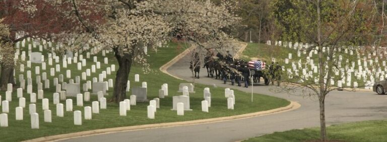 decouvrez arlington histoire attractions et plus