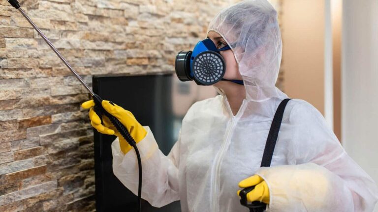 deratisation professionnelle avec apa experts en lutte antiparasitaire