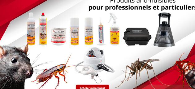 devenir desinsectiseur guide complet pour lutter efficacement contre les nuisibles