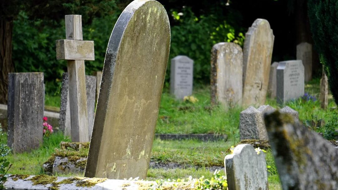 duree de decomposition dun ecureuil combien de temps cela prend il