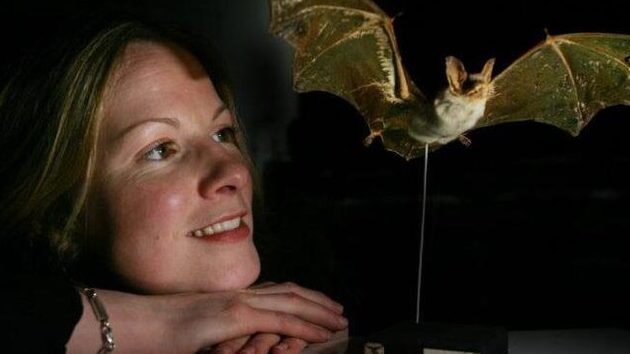 Durée de vie des souris : combien vivent-elles vraiment ? 1 duree de vie des souris combien vivent elles vraiment