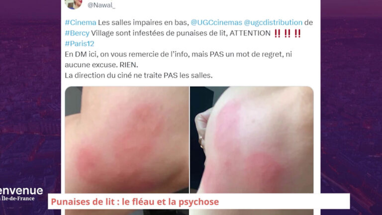 ecole fermee a cause dune infestation de punaises de lit que faire