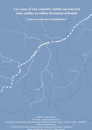 ecoulement stagnant dans la cour comprendre les causes et les solutions