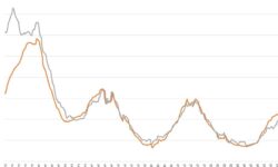 Effets et conséquences d'un bug qui remonte le nez effets-et-consequences-dun-bug-qui-remonte-le-nez