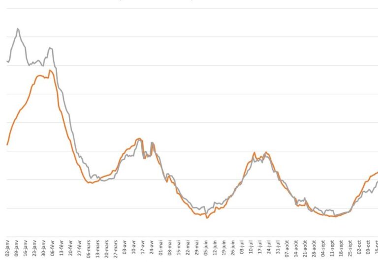 effets et consequences dun bug qui remonte le nez