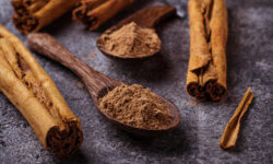 effets-nocifs-des-plantes-a-la-cannelle-ce-que-vous-devez-savoir