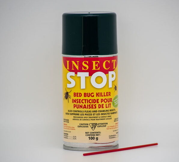 elimination efficace des punaises de lit les papes de rouille pour une lutte antiparasitaire efficace
