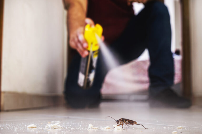eliminer les cafards des appareils astuces efficaces
