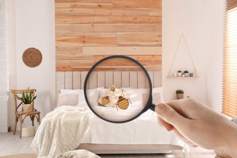 eliminer les punaises de lit avec du bicarbonate de soude methode efficace