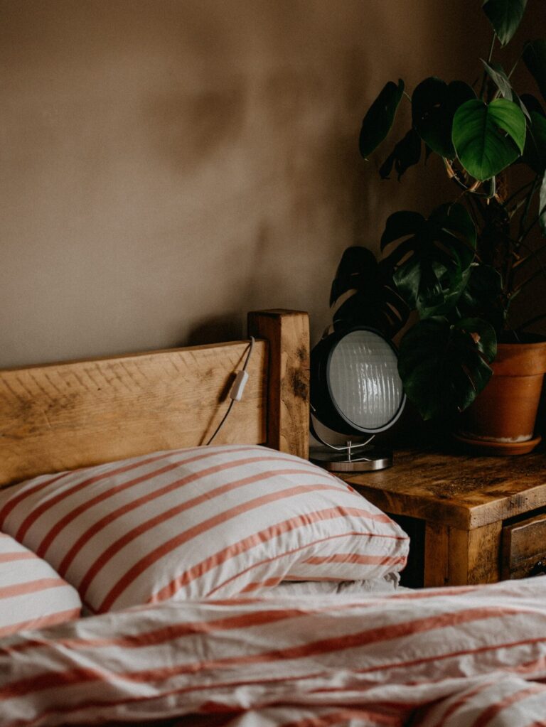 eliminez definitivement les punaises de lit avec nos methodes efficaces