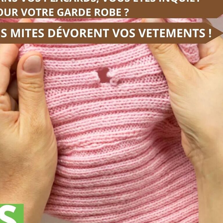 eliminez efficacement les mites avec notre puissant traitement anti mites