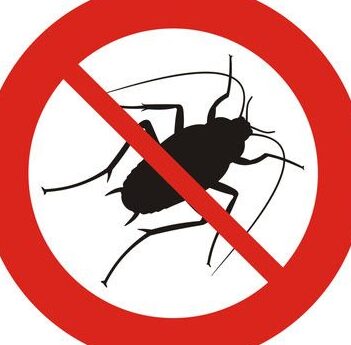 eliminez les cafards avec un desinsectiseur efficace