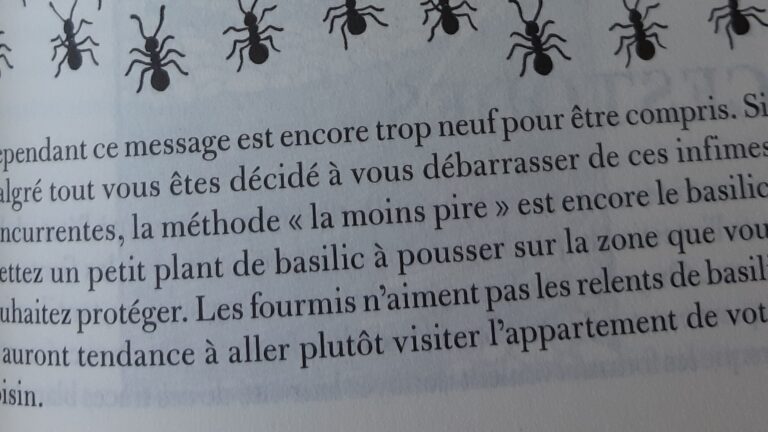 eliminez les fourmis avec le tueur de fourmis au vinaigre
